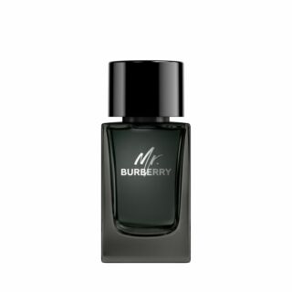 BURBERRY Mr. Burberry Eau de Parfum 100ml