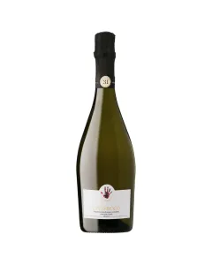 Handpicked NV DOC Prosecco ORGANIC