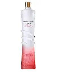 Roberto Cavalli Watermelon